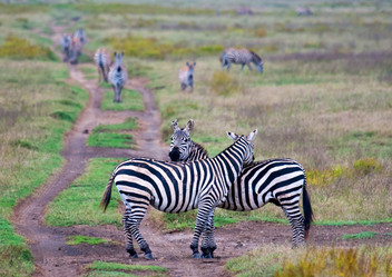 Similar image 5535046