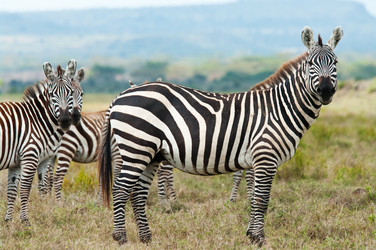 Similar image 5535047