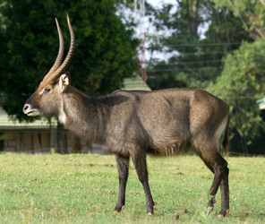 Similar image 5535076