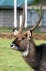 Similar image 5535084