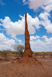 Similar image 5535126