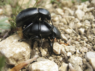 Similar image 5535296