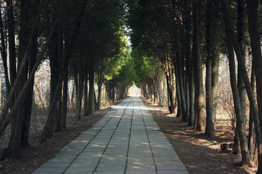 Similar image 5535310