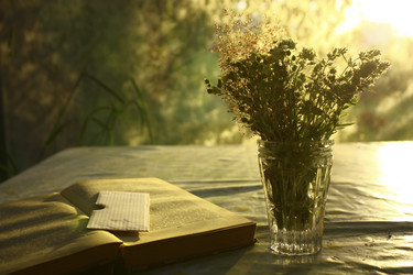 Similar image 5535311