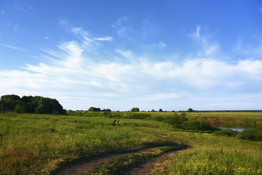 Similar image 5535312