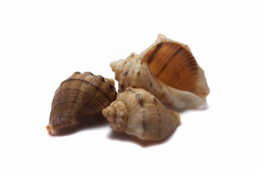 Similar image 5535314