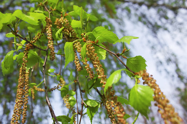 Similar image 5535318