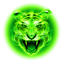 Similar image 5535442