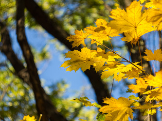 Similar image 5535479