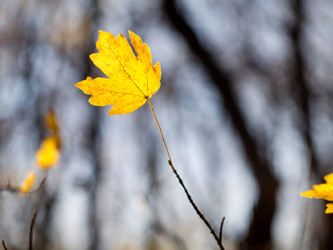 Similar image 5535481