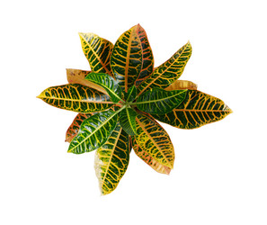 Similar image 5535522