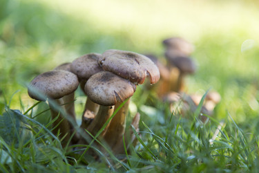 Similar image 5535525