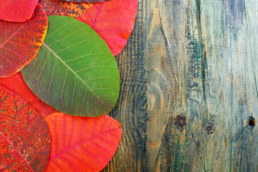 Similar image 5535564