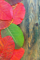 Similar image 5535566