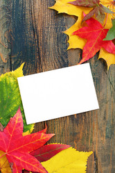 Similar image 5535567