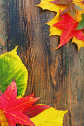 Similar image 5535568