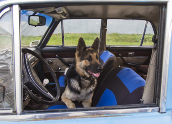 Similar image 5535570