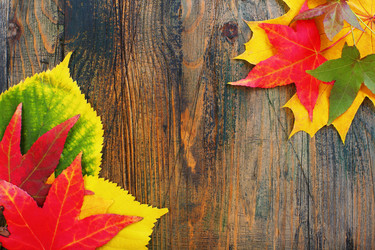 Similar image 5535578