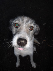 Similar image 5535594