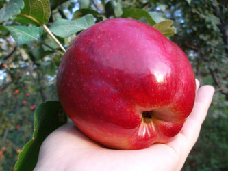 Similar image 5535595