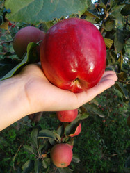 Similar image 5535614