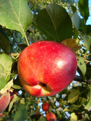 Similar image 5535615