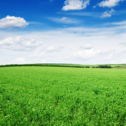 Similar image 5535637