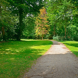 Similar image 5535669