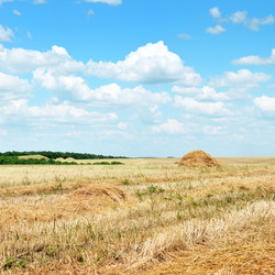 Similar image 5535671