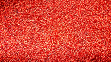 Similar image 5535688