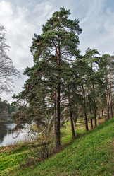 Similar image 5535699