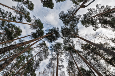 Similar image 5535701