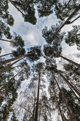 Similar image 5535702