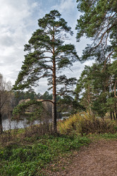 Similar image 5535725