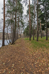 Similar image 5535726