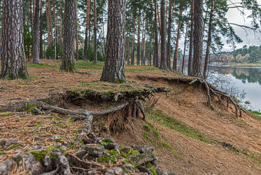 Similar image 5535729