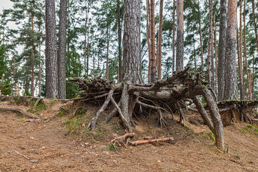 Similar image 5535733