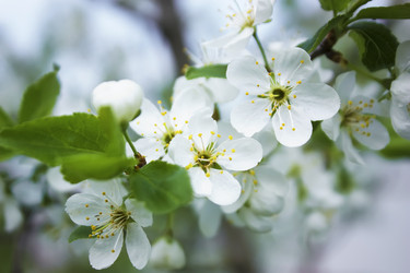 Similar image 5536084