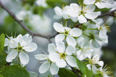 Similar image 5536087