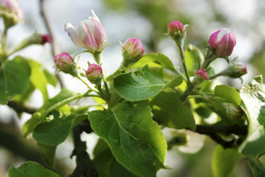 Similar image 5536089