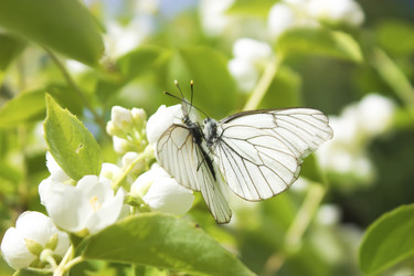 Similar image 5536092