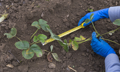 Similar image 5536241