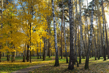 Similar image 5536244