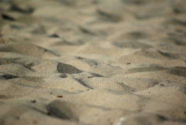 Similar image 5536261