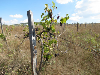 Similar image 5536272