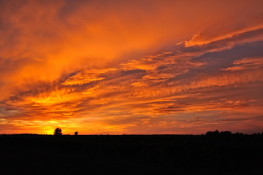 Similar image 5536287