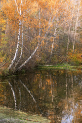 Similar image 5536310