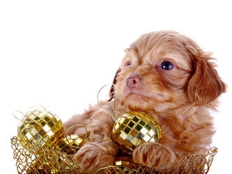 Similar image 5536320