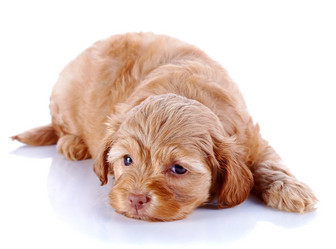 Similar image 5536323