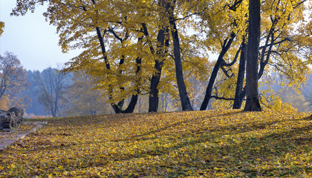 Similar image 5536352